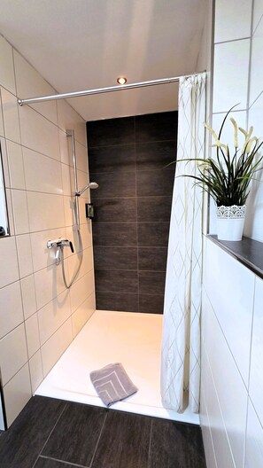 Douche, sèche-cheveux, serviettes fournies, savon