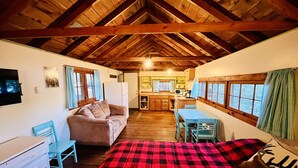 A cozy room with a bed, a sofa, a desk, and a kitchenette.