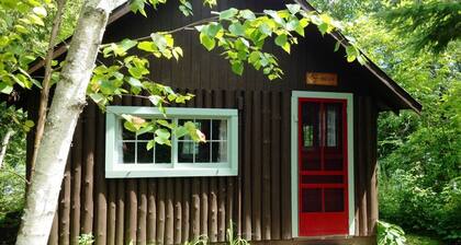 -> Historic 1930's Cabin Steps to the LAKE! ~ FREE Resort Amenities Included!