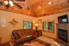 TV, fireplace, DVD player