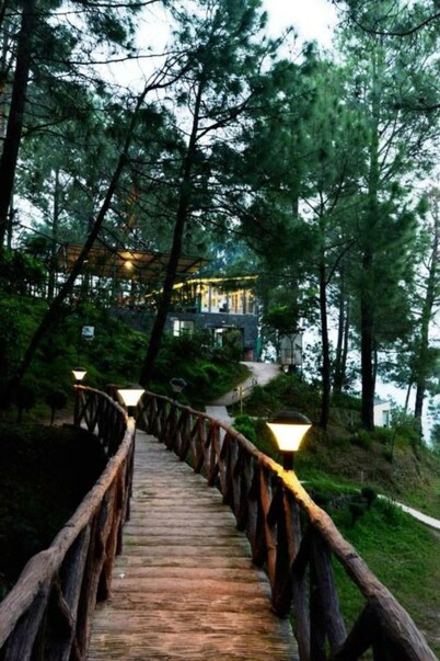 Kasauli Hills Resort