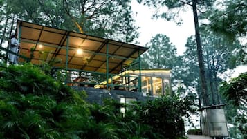 Jardin