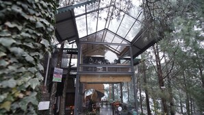 A modern building with a glass facade, surrounded by trees. - Kasauli Hills Resort (Kasauli)