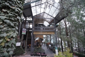 Reception - Kasauli Hills Resort (Kasauli)