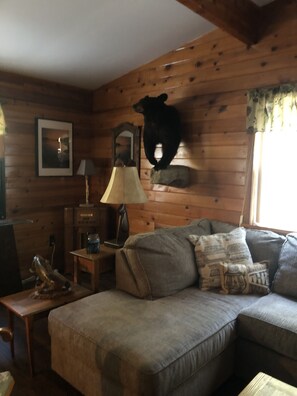 TV connectée, cheminée, lecteur de DVD, livres