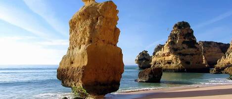 بالقرب من الشاطئ