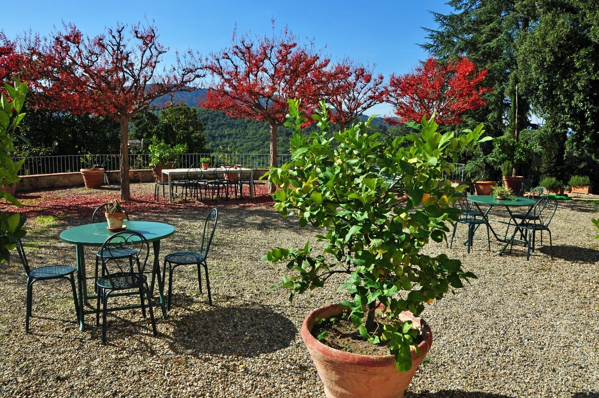 An outdoor patio area with tables and chairs, surrounded by trees with red foliage and a mountain in the background.