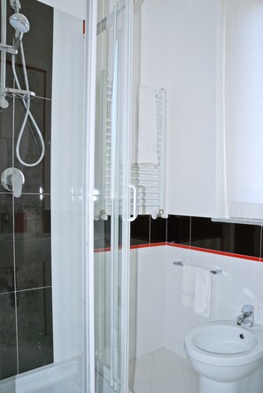 Shower, hair dryer, bidet, towels