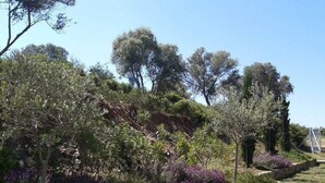 Un jardín ajardinado con diversas plantas y árboles, muros de contención de piedra y un cielo despejado.