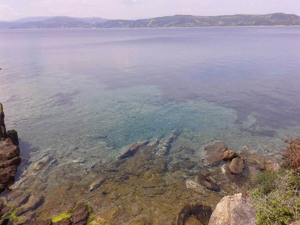 منوع
