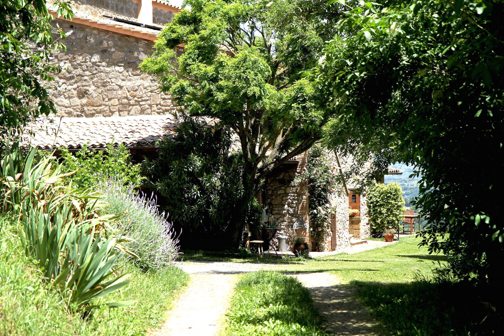 Parco della struttura