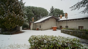Eksteriør