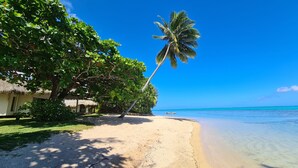 A beach with thatched-roof huts, a palm tree, and clear blue water.