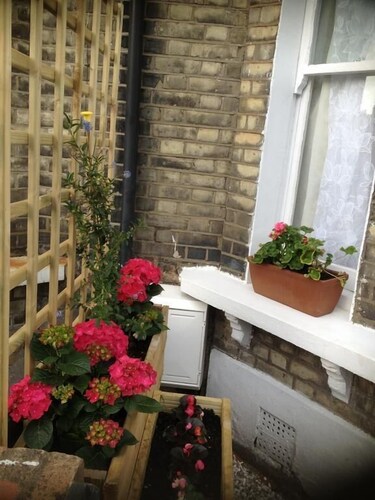 Clapham and Brixton Studios