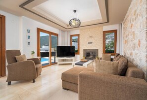 Smart TV, fireplace, DVD player, books