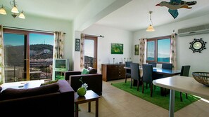 Televisión, chimenea, reproductor de DVD y libros 