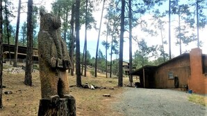 A forested area with a large bear sculpture on a stump, a gravel path, and a building in the background. - Rustic Cabin (Ruidoso)