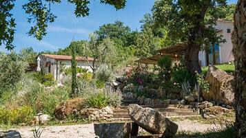 Área da propriedade