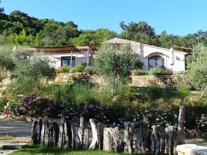 Exterior - IL BORGHETTO Magical property for large groups and families in south Tuscany (saturnia)