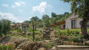A hillside property with stone steps leading to a white building with a green door. - IL BORGHETTO Magical property for large groups and families in south Tuscany (saturnia)