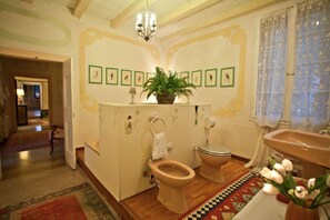 Combined shower/tub, hair dryer, bidet, towels