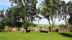A grassy field with trees and a stone wall.