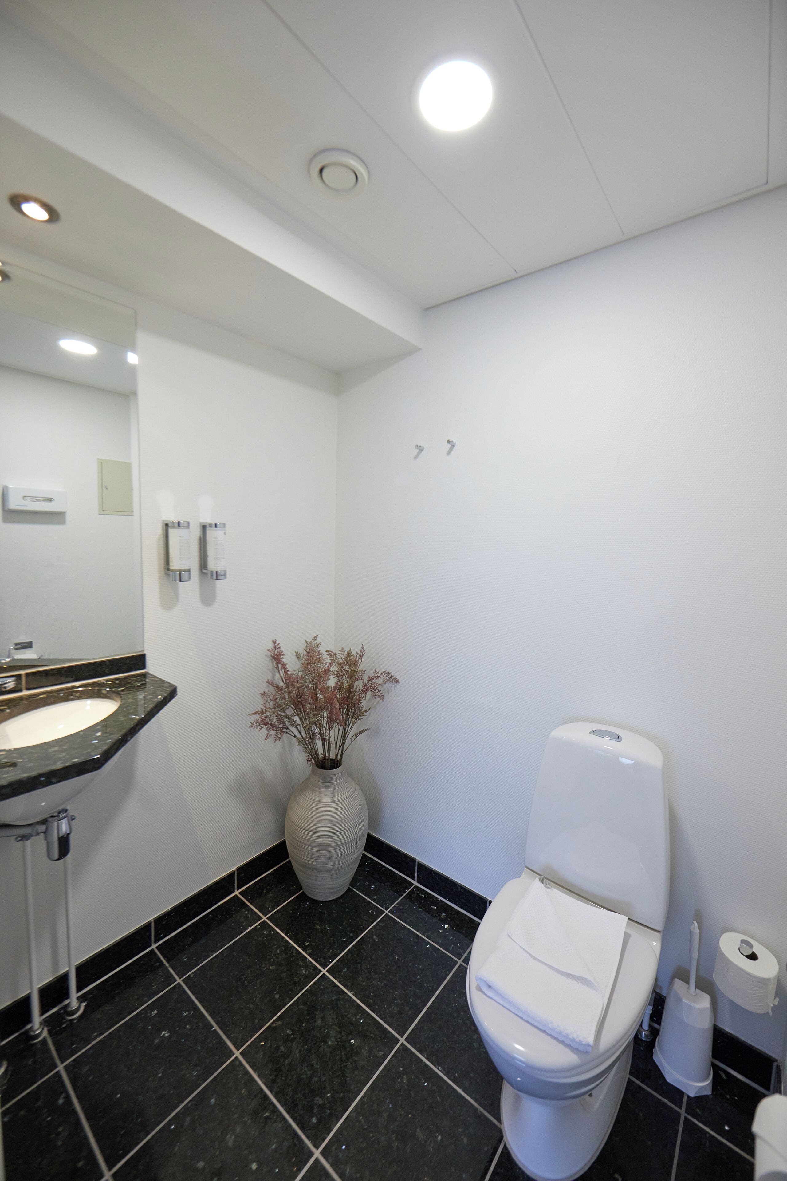 A bathroom with a white sink, a toilet, a vase with dried flowers, and a mirror.
