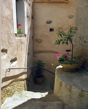Property grounds - Beautiful house in Belmonte Calabro,Ecotourism, tradition, culture, sea and nature (Belmonte Calabro)