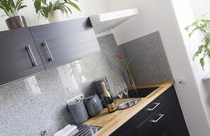 Full-sized fridge, stovetop, coffee/tea maker, cookware/dishes/utensils - Aparthotel Mitte (Dresden)