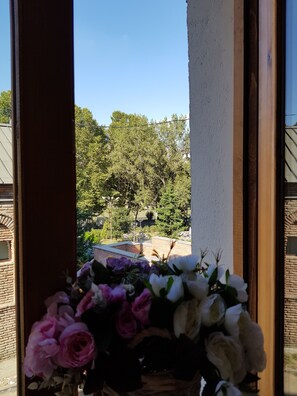 舒適客房 | 客房景觀