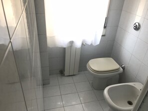 Shower, hair dryer, bidet, towels