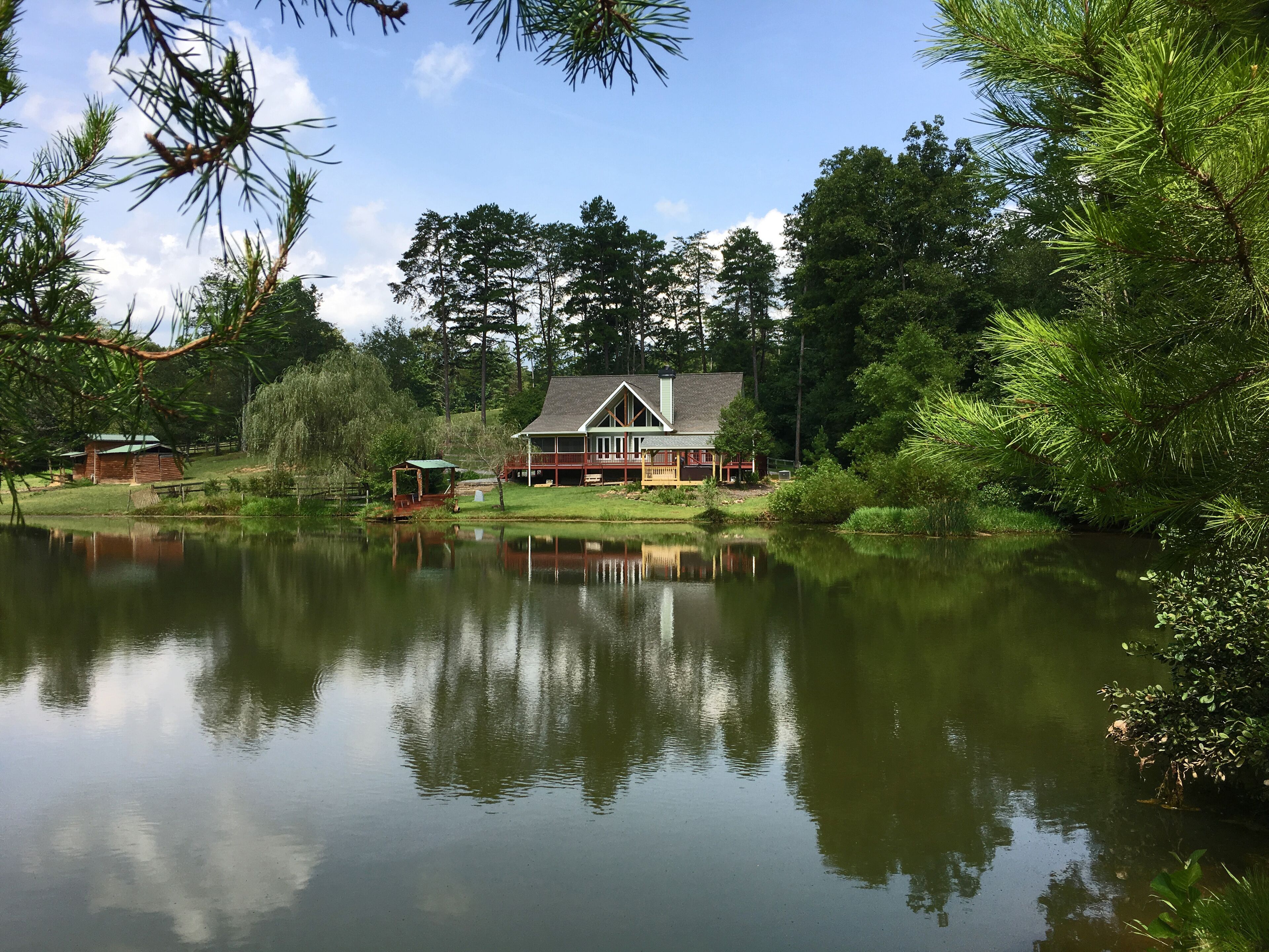 View from across the pond