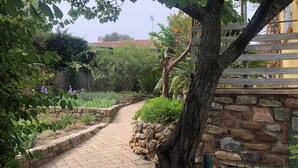 Un sendero pavimentado que atraviesa un jardín con diversas plantas y un muro de piedra.