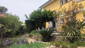 Un jardín con diversas plantas y un muro de piedra.