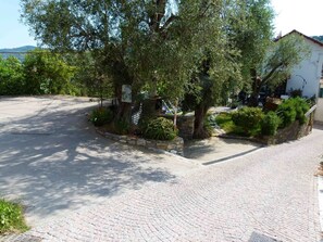 Property grounds - Casa Rosa - Vacation apartments on the Flower Riviera, decorated with love (Diano San Pietro)