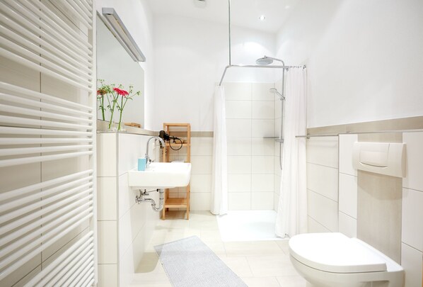 Shower, hair dryer, toilet paper