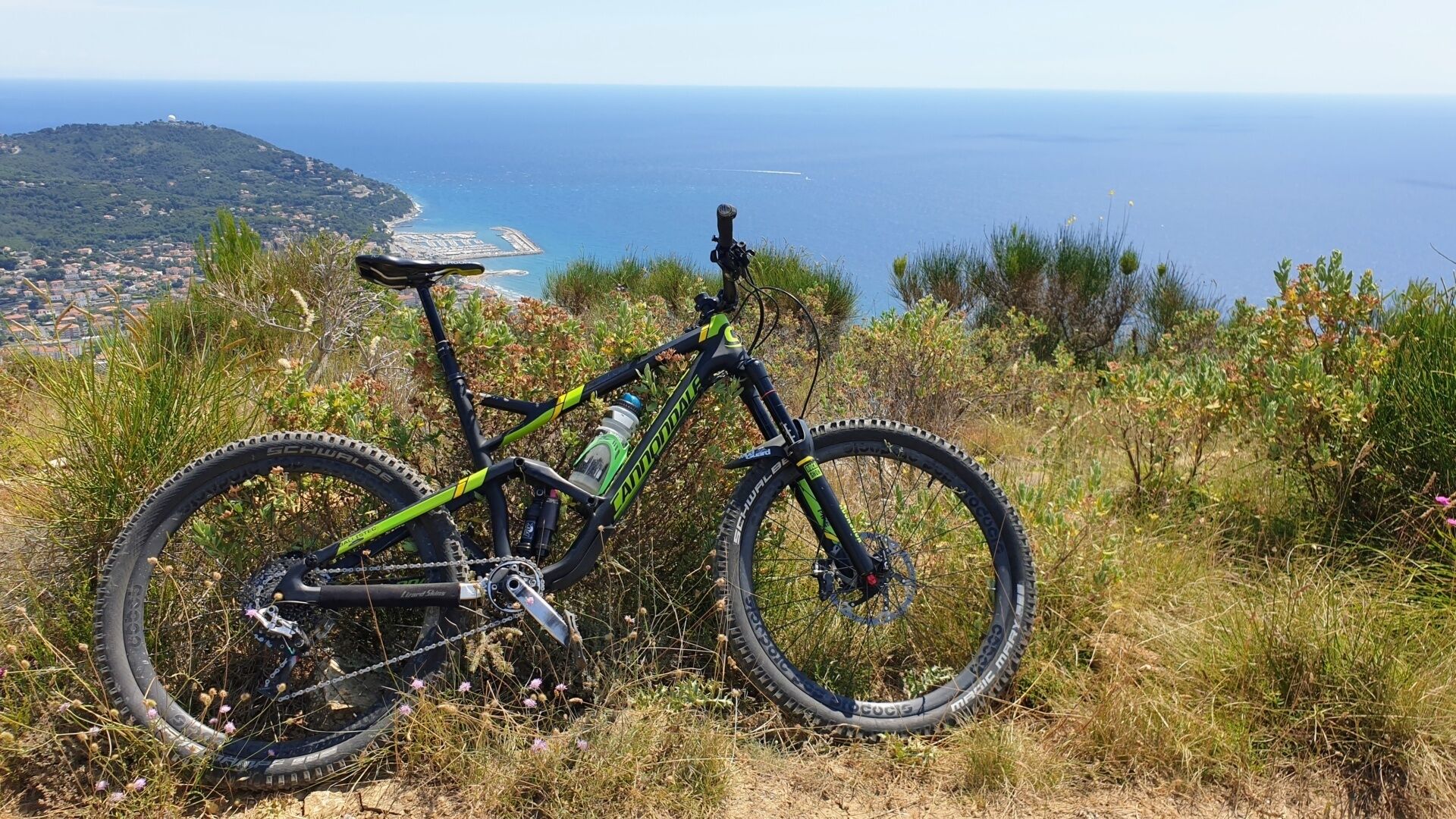 A mountain bike parked on a grassy hill with a coastal view.
