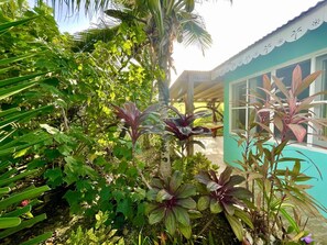 Un jardin luxuriant, avec une grande variété de plantes, et un bâtiment à la façade de couleur turquoise.