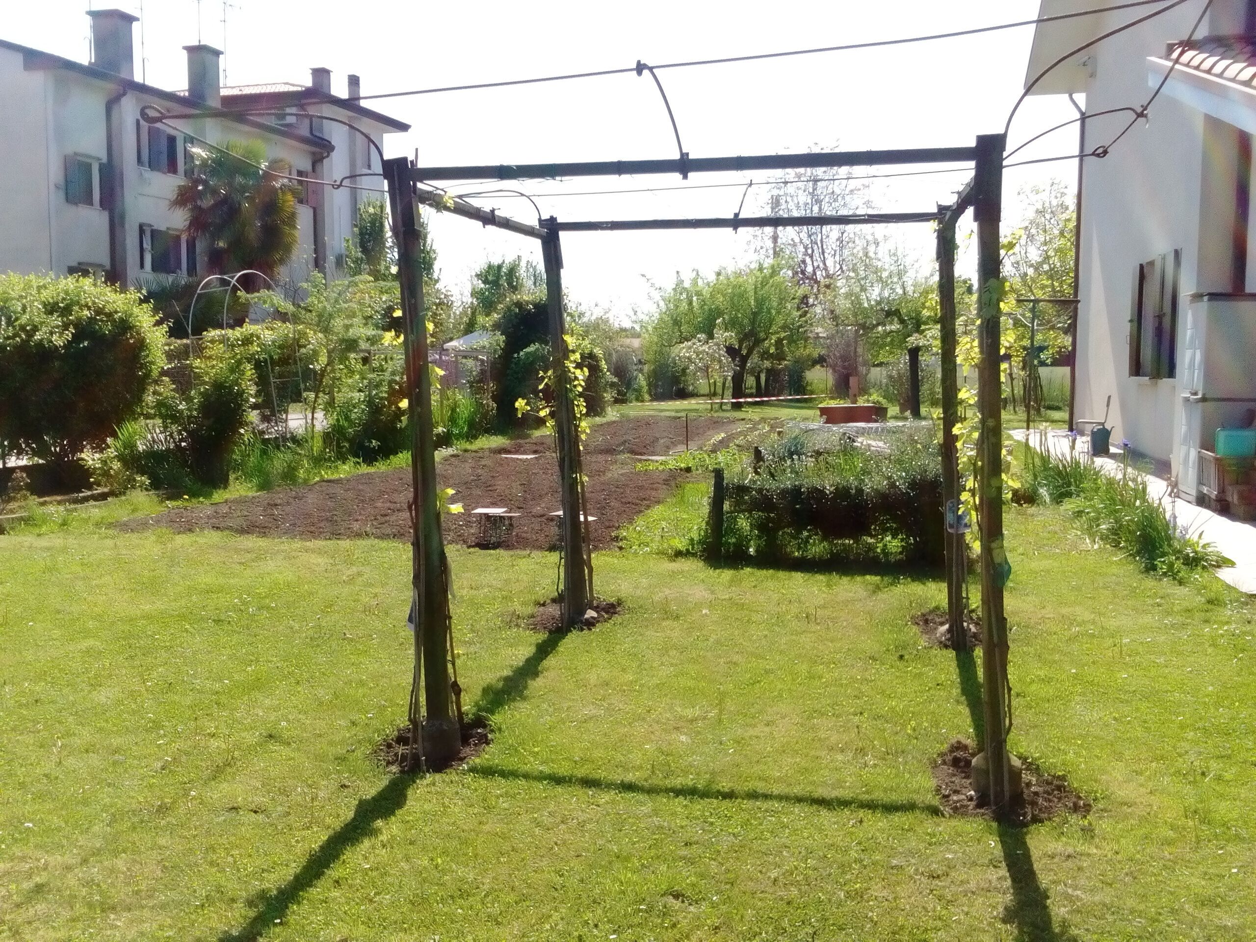 Un jardin agrémenté d’une pergola, entouré de pelouse bien entretenue et de diverses plantes.