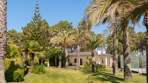 Une maison entourée d’un jardin bien entretenu, agrémenté de divers arbres et arbustes.