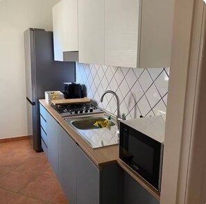 Kühlschrank, Mikrowelle, Herdplatte, Wasserkocher mit Kaffee-/Teezubehör