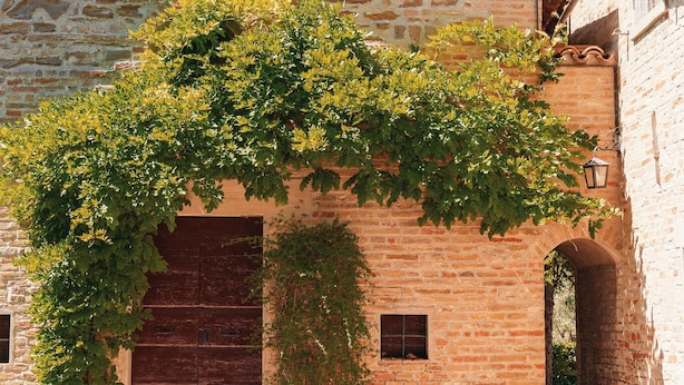 A stone building with a cross on top, a wooden door, and a bench in front. - In a historic farmhouse in the hills, with garden and pool, perfect for families (Pesaro)
