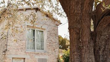 Un bâtiment rustique en briques, doté d’une fenêtre et d’une porte, entouré d’un grand arbre.