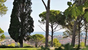 A view of a cityscape with tall trees in the foreground and a distant urban area. - In a historic farmhouse in the hills, with garden and pool, perfect for families (Pesaro)