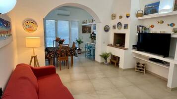 Smart TV, fireplace, books, stereo