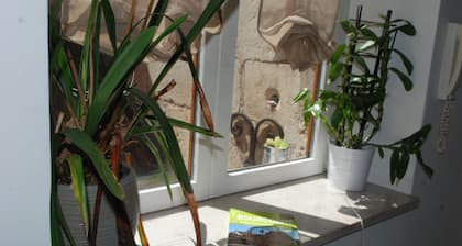 STUDIO DUPLEX DE TOURISME CLIMATISE AU CENTRE DE BEAUNE