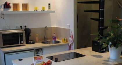 DUPLEX TOURISM STUDIO IM ZENTRUM VON BEAUNE