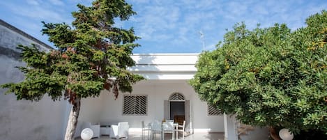 テラス / パティオ