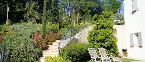 المنطقة المحيطة بالمنشأة