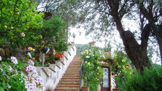 A stone staircase leading up to a door, surrounded by lush greenery and flowering plants. - Apartment in a studio villa called Salina 3 beds (REITANO)